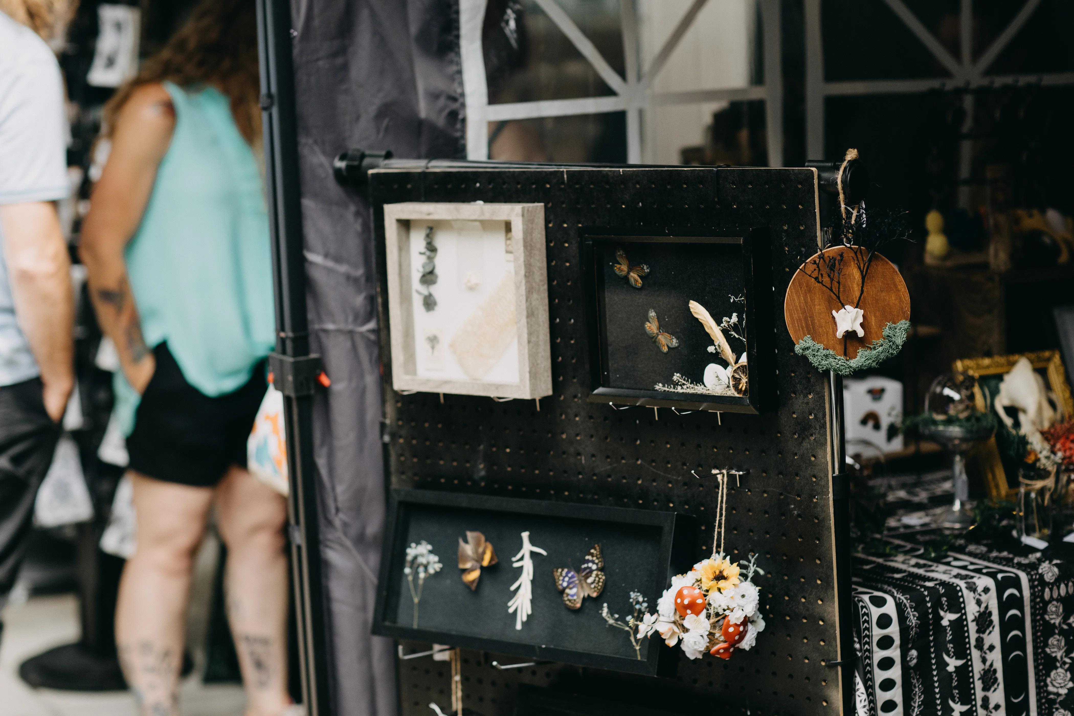 Shadowboxes of preserved butterflies and flora.