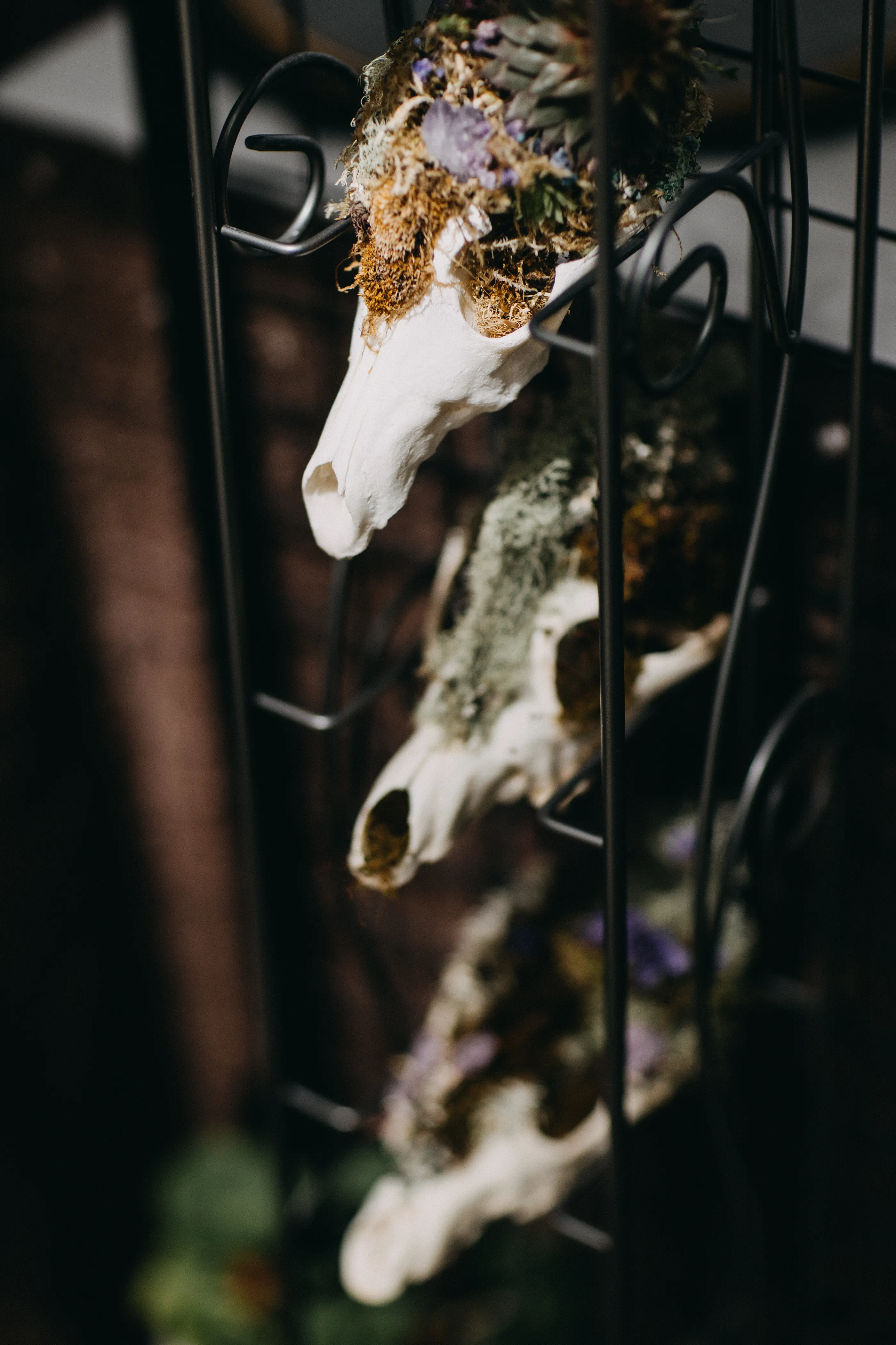 Vendors and displays at the Speakeasy Market
